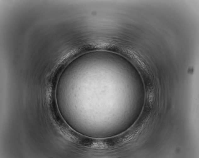 X0000100860591200806271202