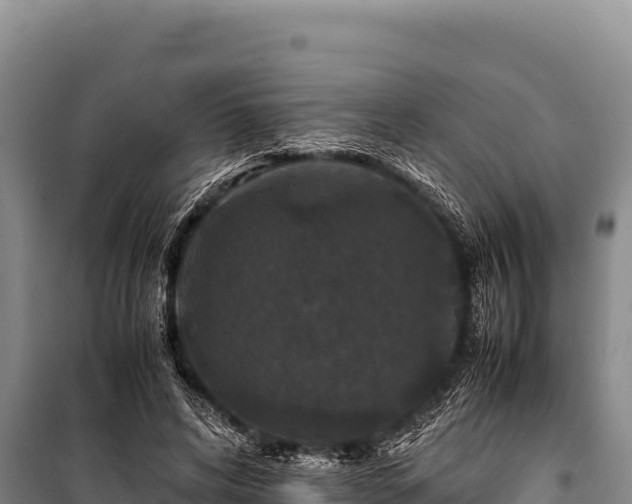 X0000100860592200806271202