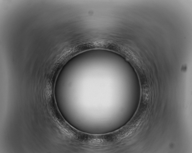 X0000100860593200806271202