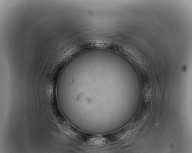 X0000100860595200806271202