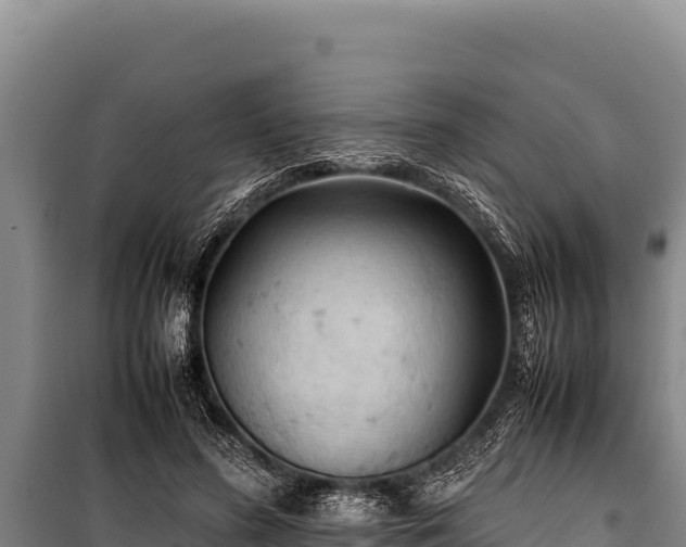 X0000100860596200806271202