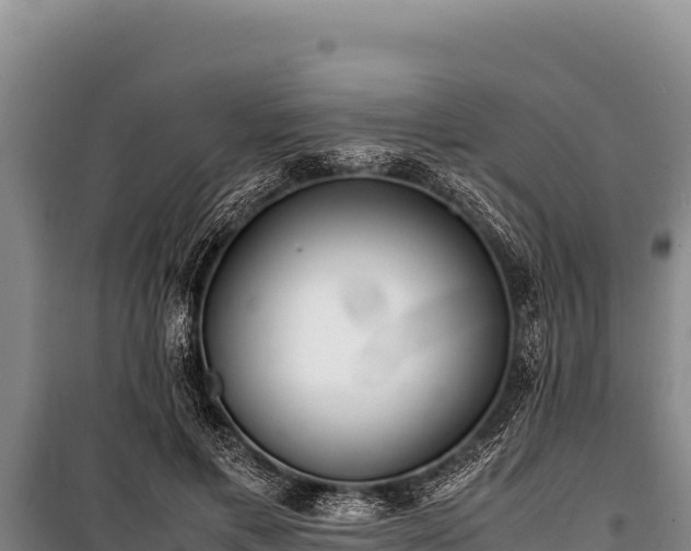 X0000100860597200806271202