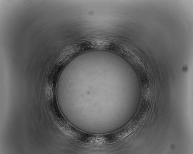 X0000100860599200806271202