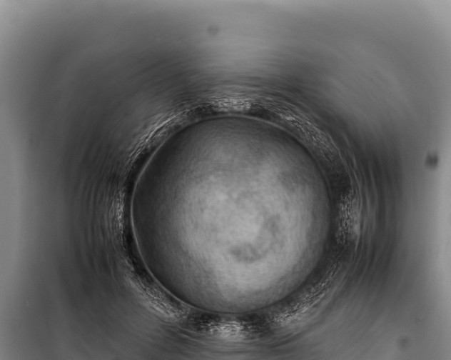 X0000100860600200806271201