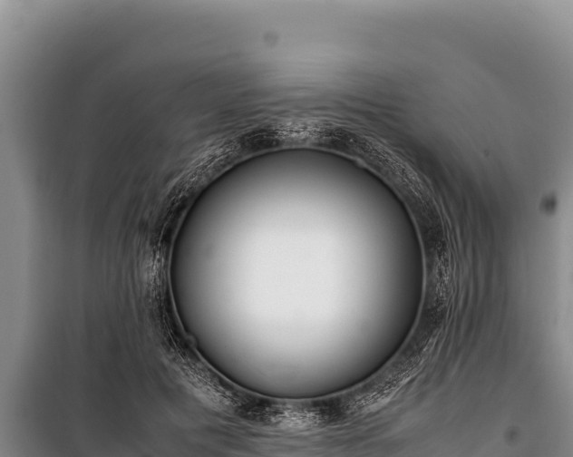 X0000100860601200806271201