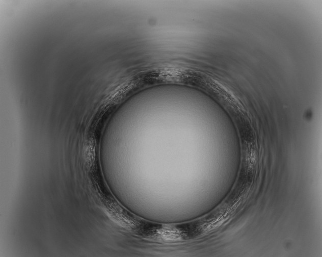 X0000100860603200806271201