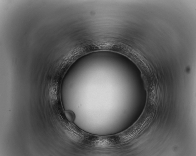 X0000100860604200806271201