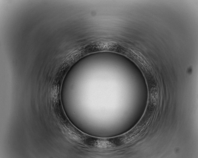 X0000100860605200806271201