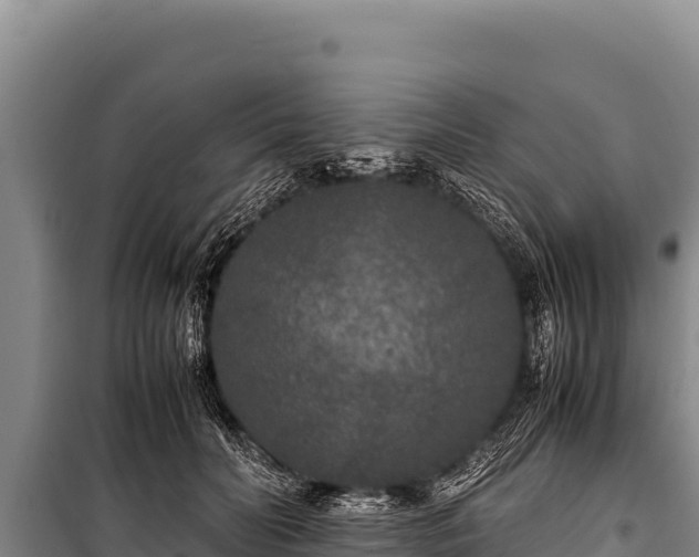 X0000100860606200806271201