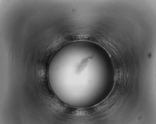 X0000100860608200806271201