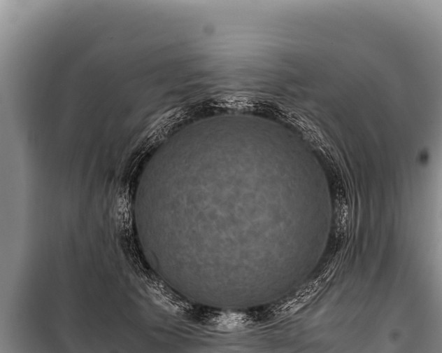 X0000100860609200806271201