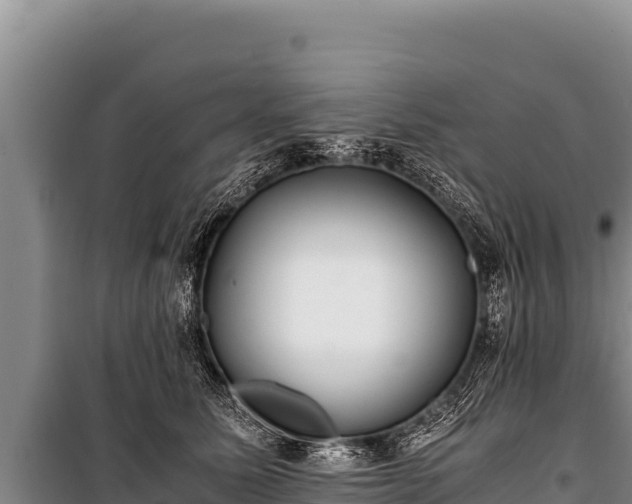 X0000100860611200806271201