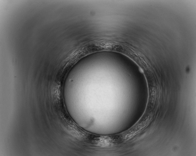 X0000100860612200806271201