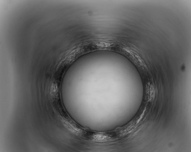 X0000100860614200806271201