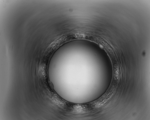 X0000100860616200806271201