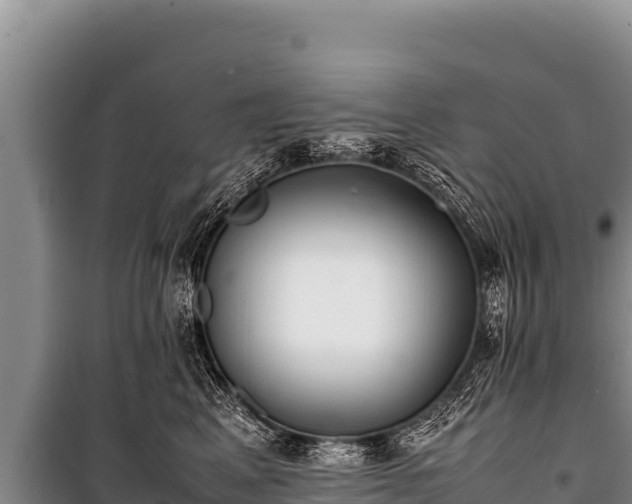 X0000100860617200806271201