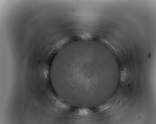 X0000100860618200806271201