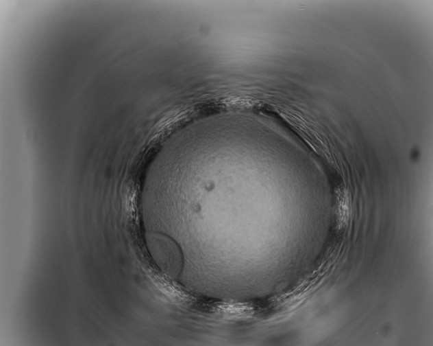 X0000100860619200806271201