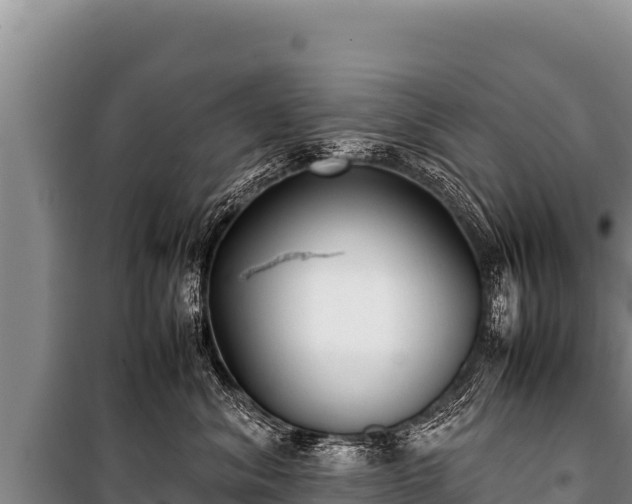 X0000100860620200806271201