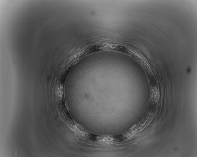 X0000100860621200806271201