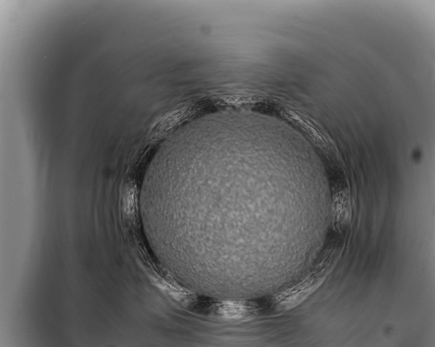 X0000100860623200806271201