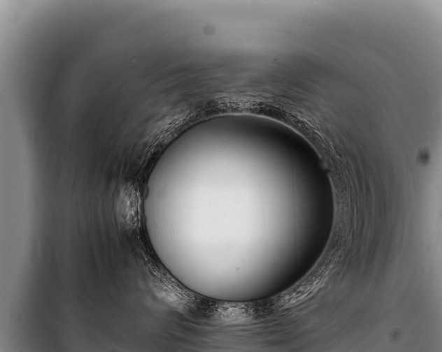 X0000100860624200806271201