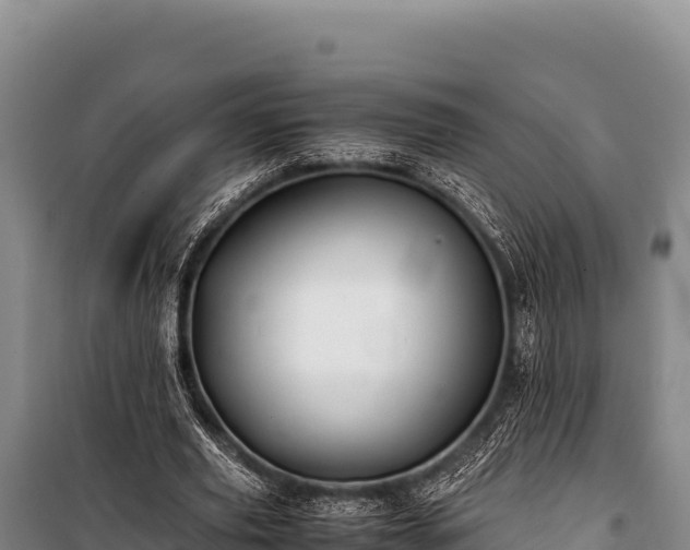 X0000100860629200806271200