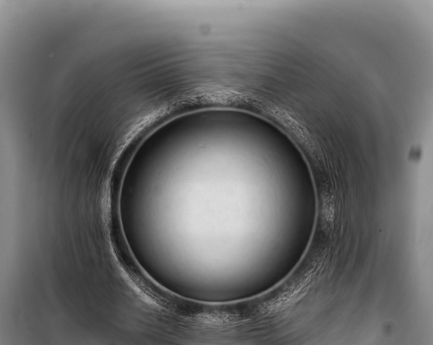 X0000100860630200806271200