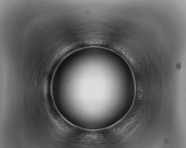 X0000100860631200806271201