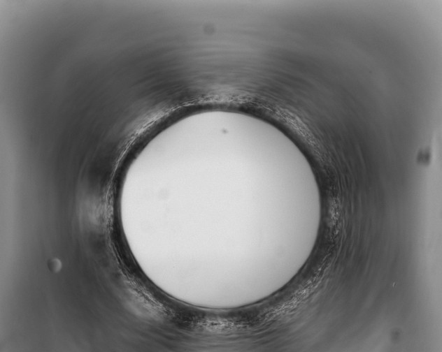 X0000100860632200806271201