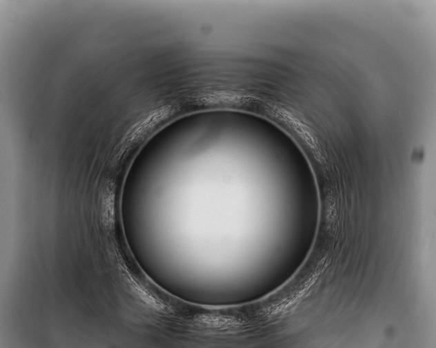 X0000100860633200806271201