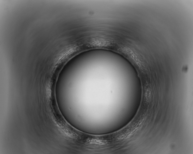 X0000100860635200806271201