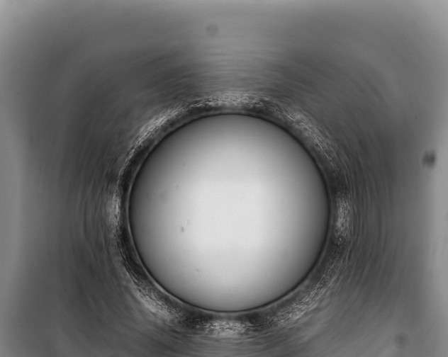 X0000100860636200806271201