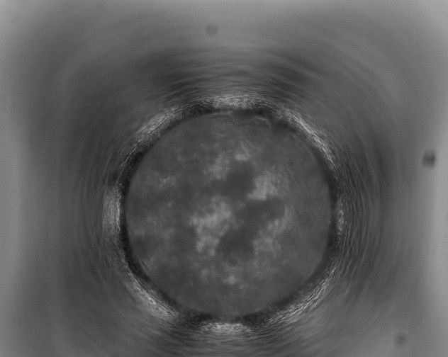 X0000100860637200806271201