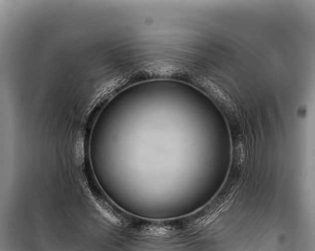 X0000100860638200806271201