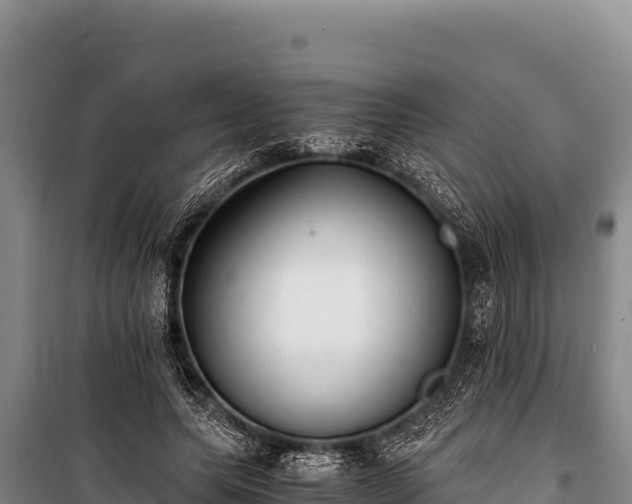 X0000100860639200806271201