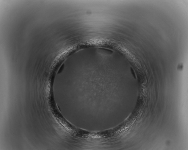 X0000100860640200806271201