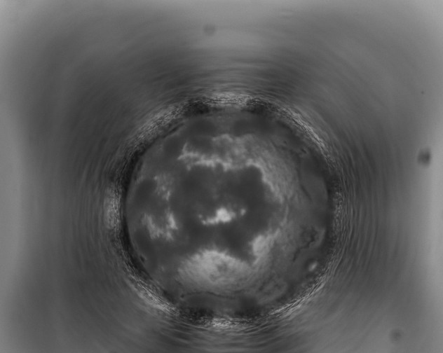 X0000100860641200806271201