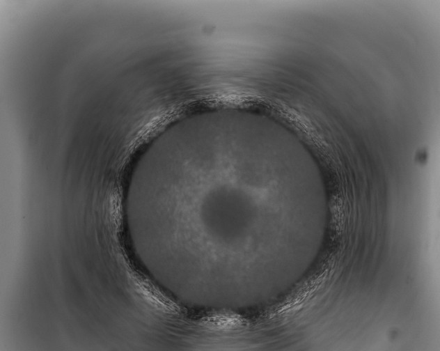 X0000100860642200806271201