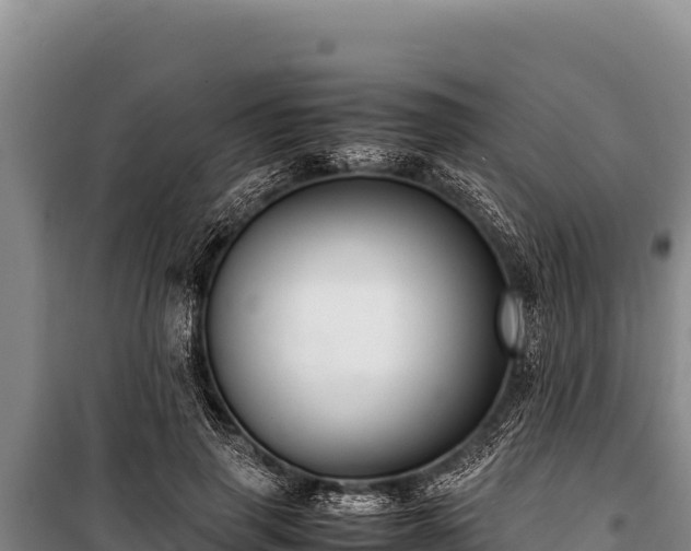 X0000100860645200806271201