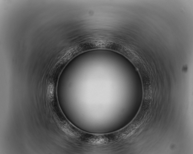 X0000100860646200806271201