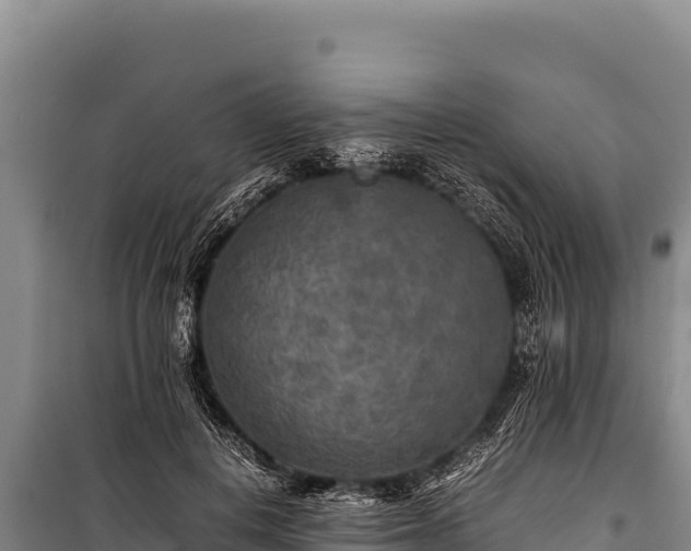 X0000100860648200806271201