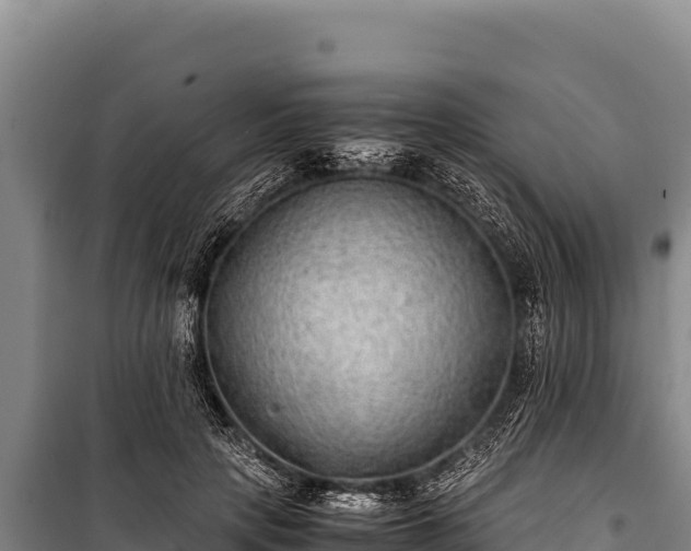 X0000100860649200806271201