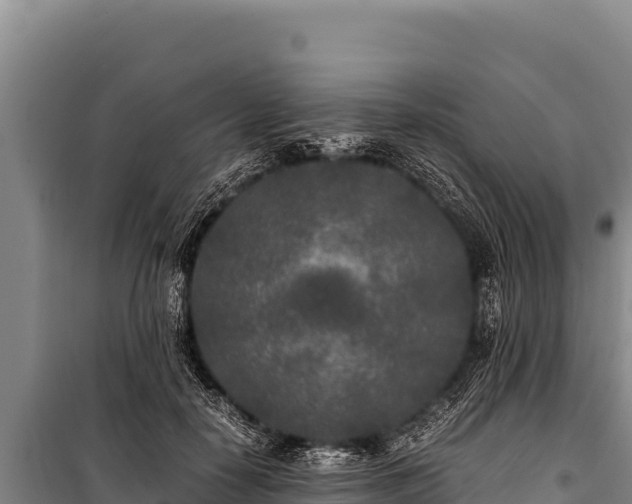 X0000100860650200806271201