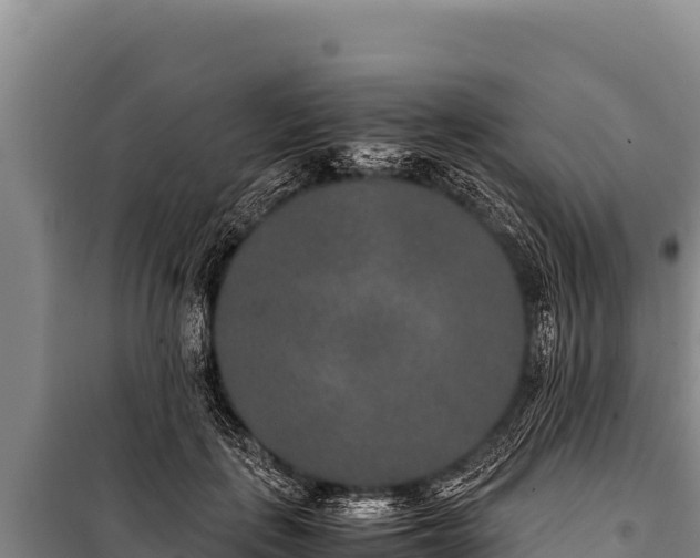 X0000100860651200806271201