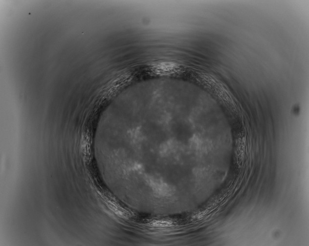 X0000100860653200806271201