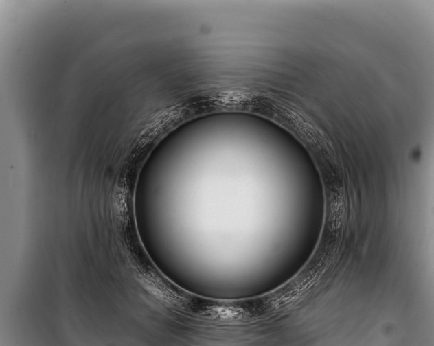 X0000100860654200806271201