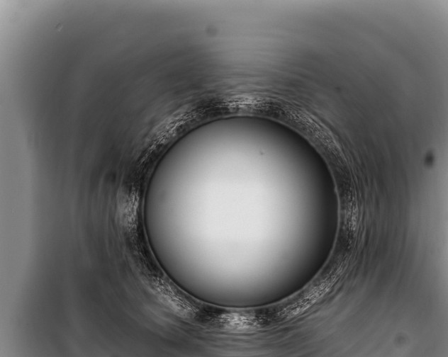 X0000100860660200806271201