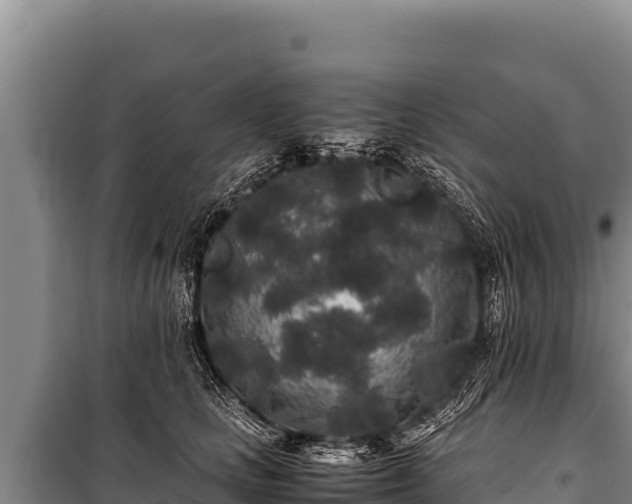 X0000100860661200806271201