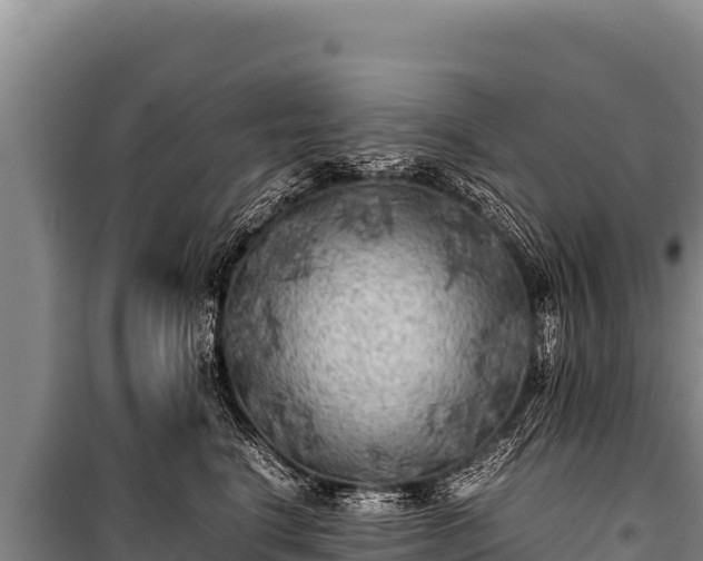 X0000100860664200806271201